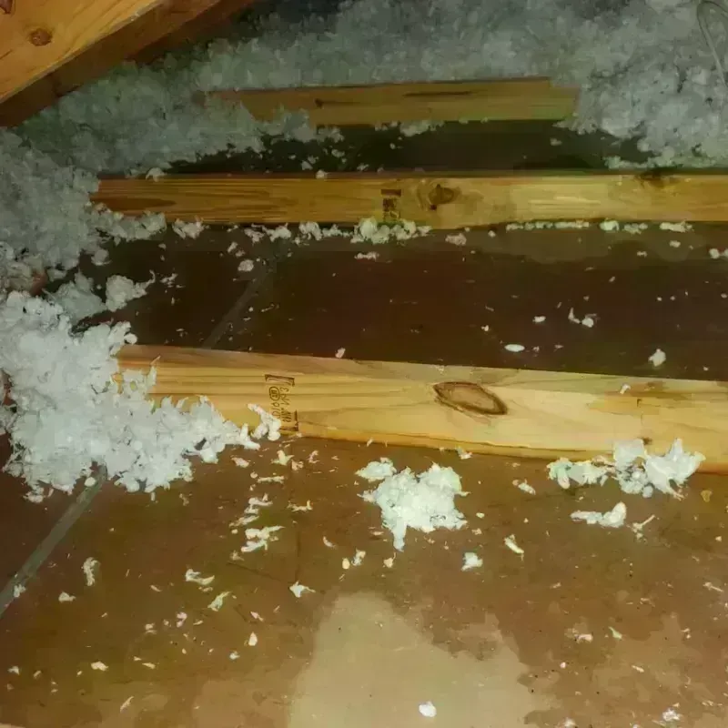 Attic Water Damage in Kennesaw, GA